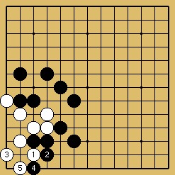 棋譜解説図（数字、記号入り）