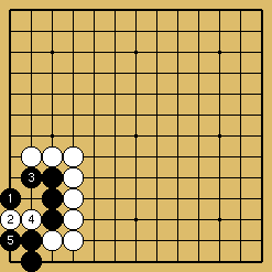 棋譜解説図（数字、記号入り）