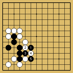 棋譜解説図（数字、記号入り）