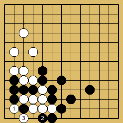 棋譜解説図（数字、記号入り）